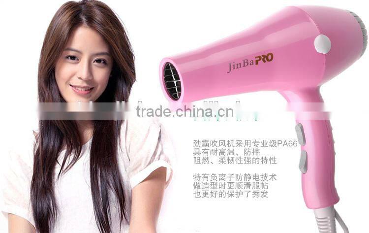 Professional DC motor AC motor Hair Dryer