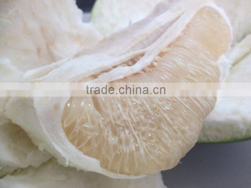 china fresh pomelo