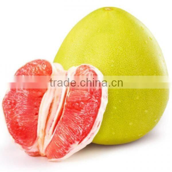 grapefruit
