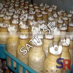 Mushroom Cultivation Plastic inoculating stick Low Price