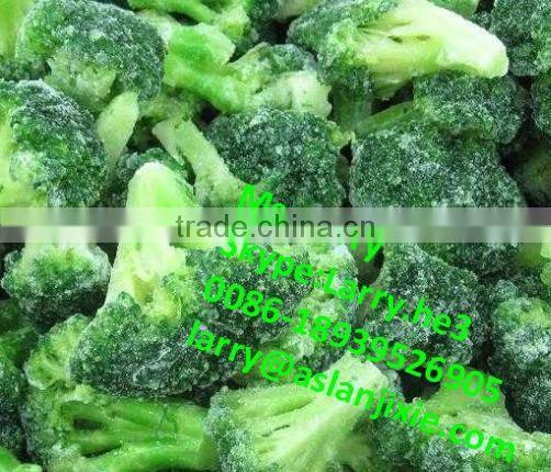 home quick freezer/individual quick freezer/meat quick freezing freezer