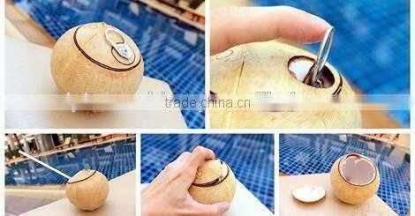 Machine Make Coconut Like Coco Easy