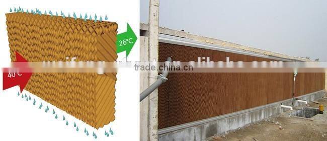 high quality low price industrial steel structure chicken coop
