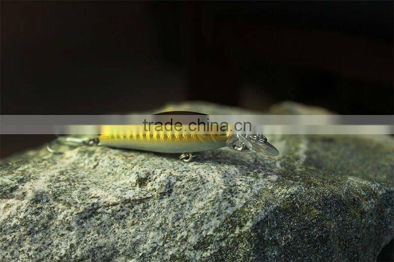 minnow Fishing lure