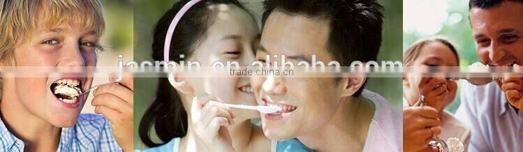 Mini Ice Cream Maker for Home Use