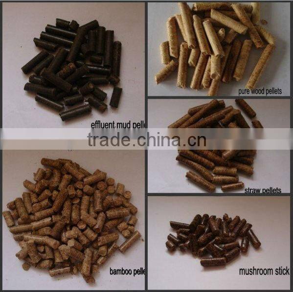 Hot Sell Small Pellet Machine for Family