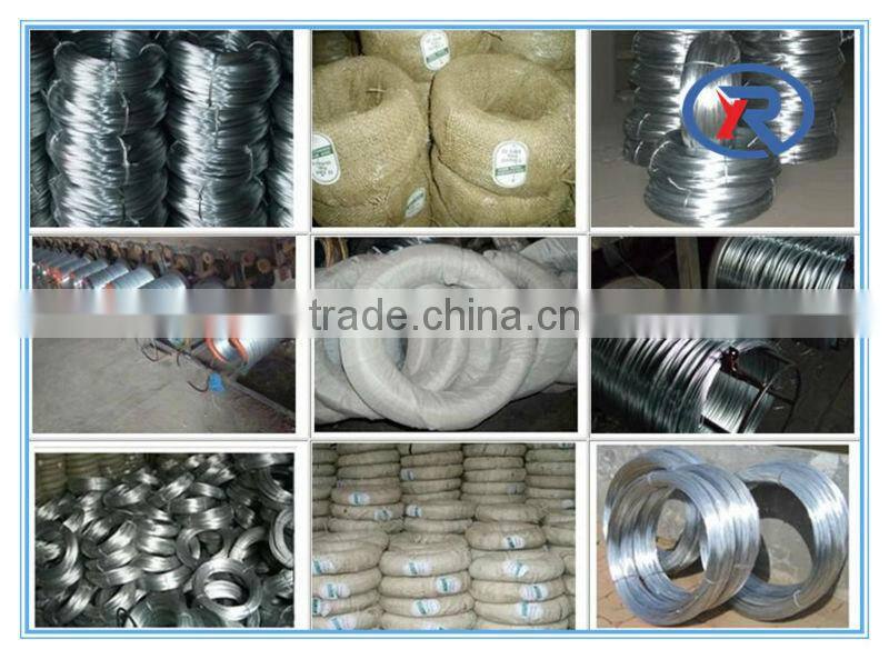 China Factory sale low price electro hot dipped galvanized steel wire Factory for construction (professional manufacturer )