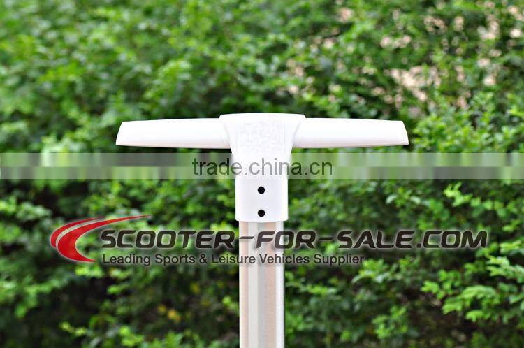 Best China two wheel smart balance electric scooter/ electric chariot for sale