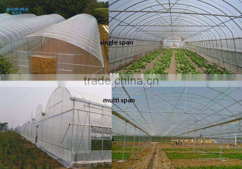greenhouse pipe fittings /galvanized pipe /steel pipe