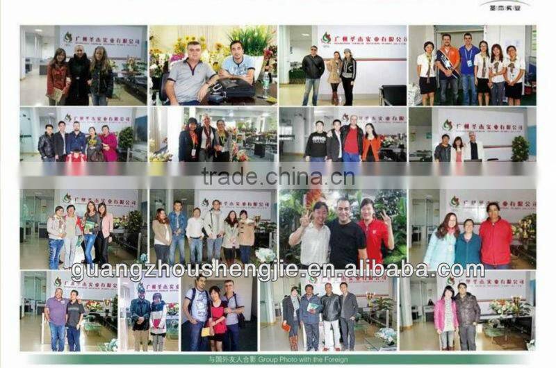 SJLJ013271 Wholesale artificial green wall quality PE material artificial grass