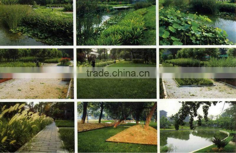 Grass planting plate with the lawn grass planting brick