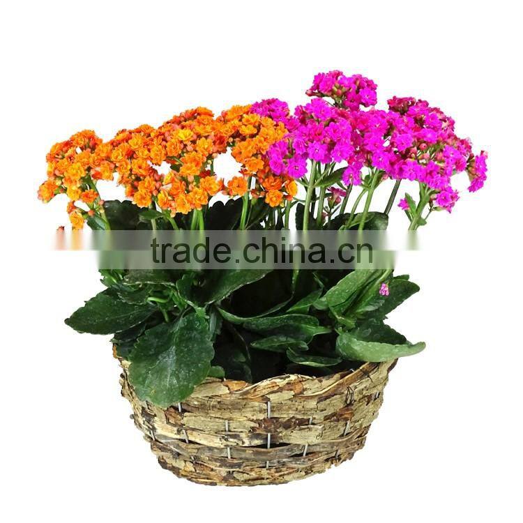 Outdoor round natural rattan gardening flowerpot