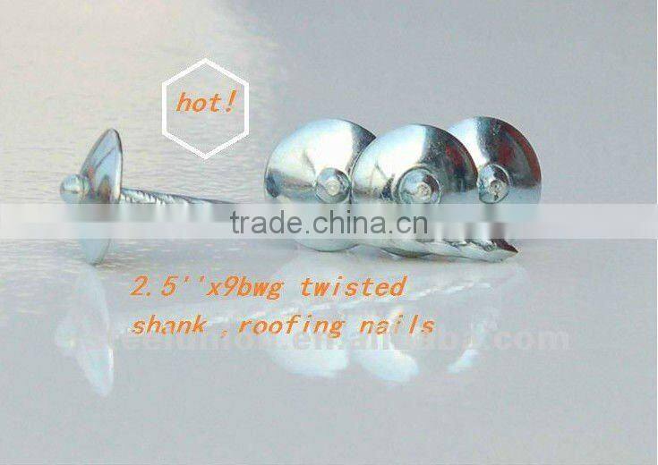 11 gauge roofing nail