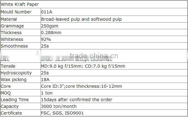 250g High-quality White Kraft Paper for Hang tag