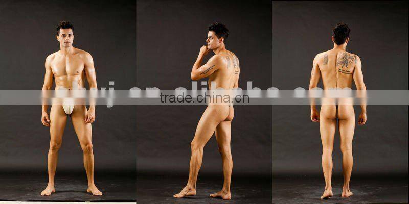 wholesale Transparent man's underwear mens nylon briefs sexy panties for man