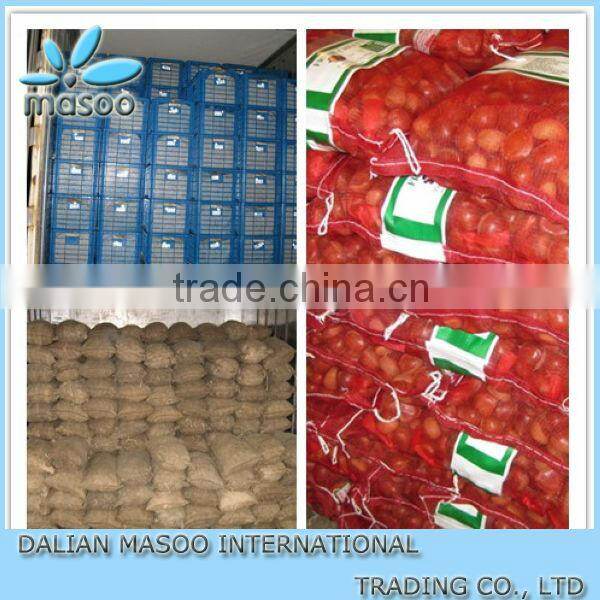 Chinese New Crop Toasted Buckwheat Kernel