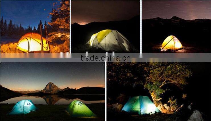 2014 New Hot Selling DC 12V Night Light 3W 300LM Battery LED Lamp