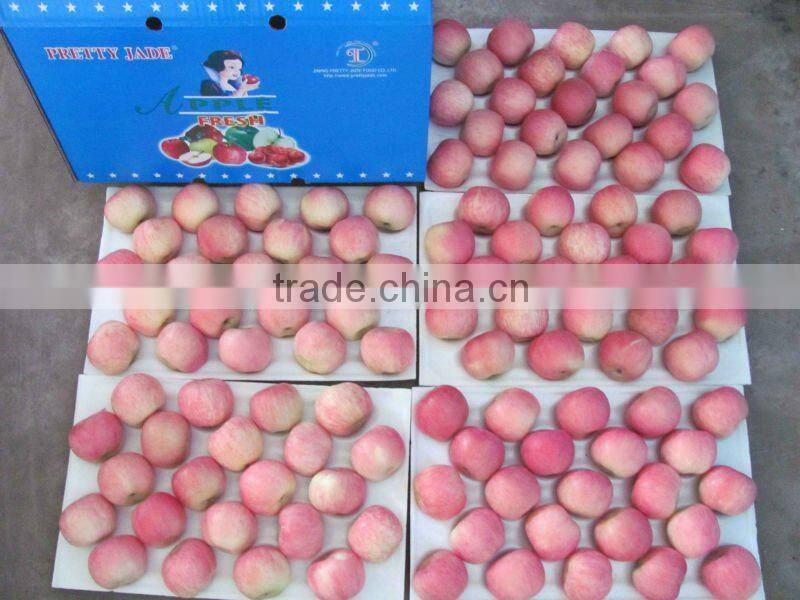 2014 new crop chinese fresh fuji apple