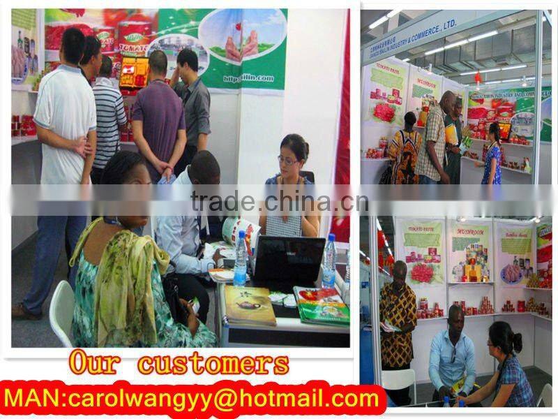 export Food & Beverages products,2200gram tomato paste for guinea