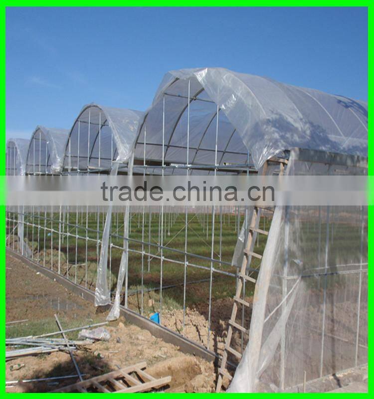 100% virgin HDPE with UV resistant tunnel covering film fuit used woven transparent pe cover