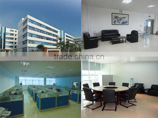 DC Worm Gear Motors for actuator