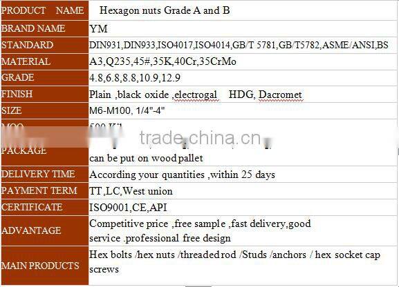 lock Nuts/ Hexagon Nuts with Metric Fine Pitch Thread DIN971