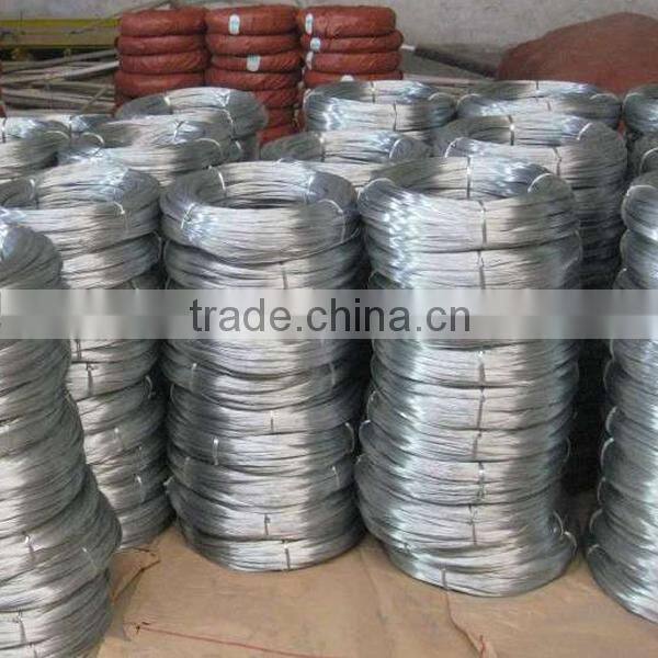 hot sale Electro galvanized iron wire bwg22