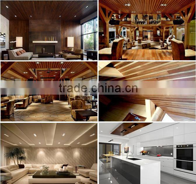 high power ar111 LED ceiling light