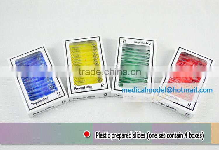 Botanical microscope plastic prepared slide