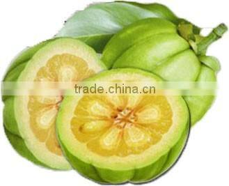 Vitamins Rich Garcinia Cambogia Capsules Bulk Exp[orters