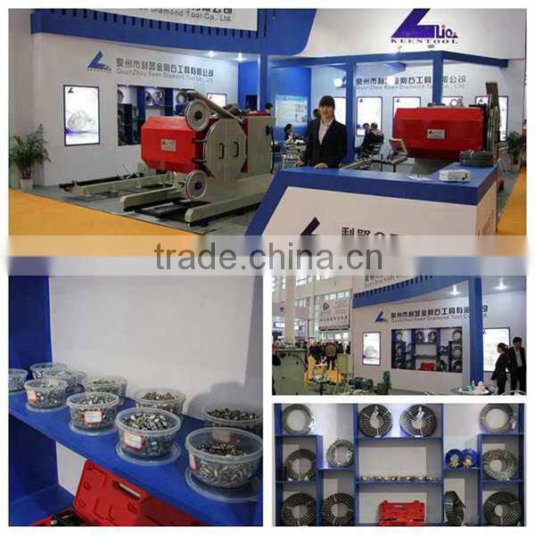Premium diamond floor polishing pad