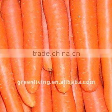 AD carrot/ dehydrated vegetable