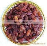 Dried raisin