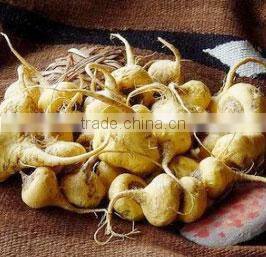 2014 GMP&Kosher BNP Best quality Natural maca extract/Lepidium Meyenii Powder Extract for Men Sexual