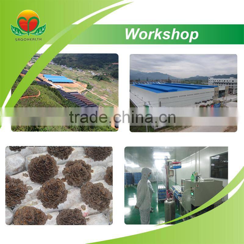 Most Popular Dried Maitake Mushroom