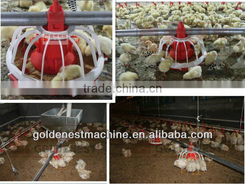 poultry automatic feeding and drinking system