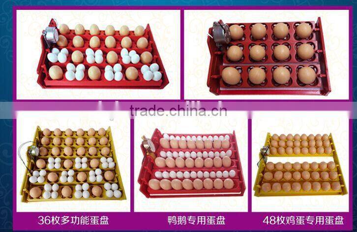 WQ-12 Capacity 12 eggs incubator and hatcher from china
