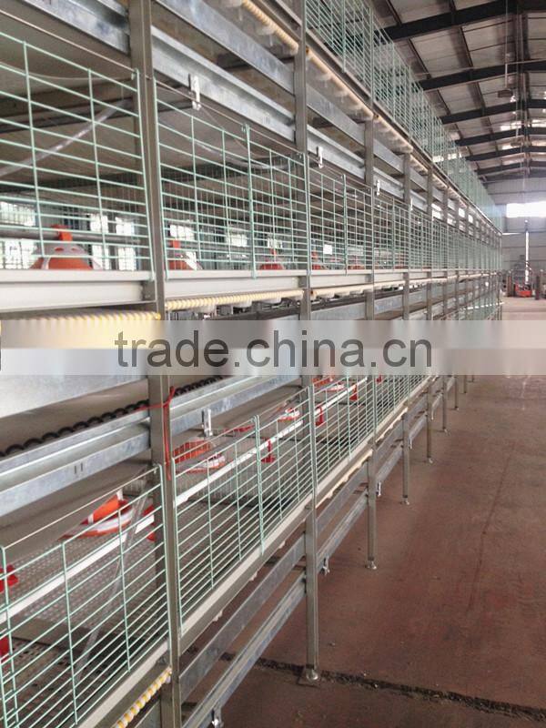 layer/chicken/broiler cages for poultry farm sale