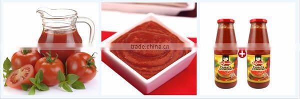 Factory Price High quality sauce filling machine