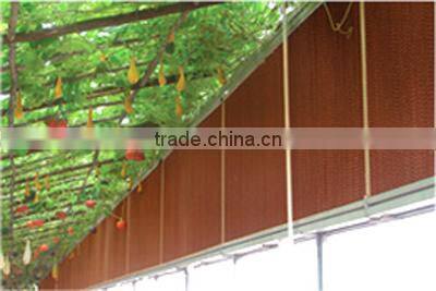 DLF poultry livestock evaporative cooling pad