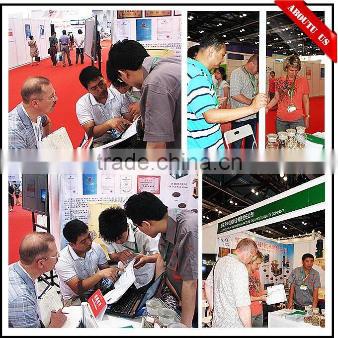 2016 Popular Style kitchen stove induction stove pellet stoves