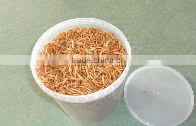 Pet Food 2.8 cm High Protein Tenebrio Molitor;Dried tenebrio Molitor