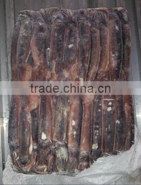 Seafrozen BQF Argentinus Illex Squid