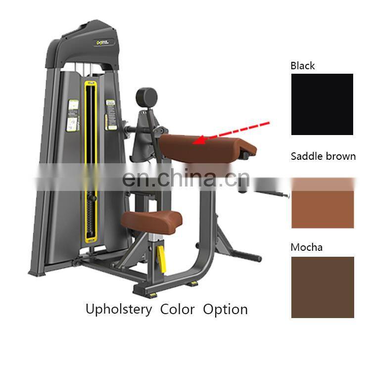 Best Quality Camber Curl Triceps Gym Equipment From China