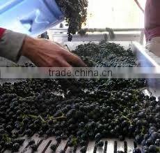 Grape destemmer with crusher machine