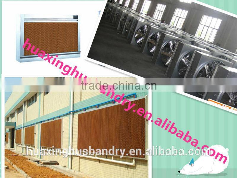 Poultry chicken cage including installation and after-sale service for sale