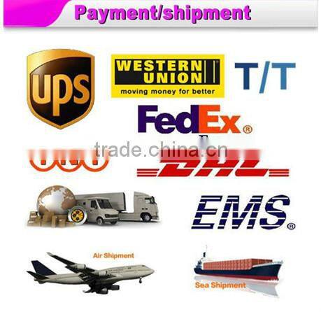 DODO L-186 ceramic hair straightener with good quality in cheap price