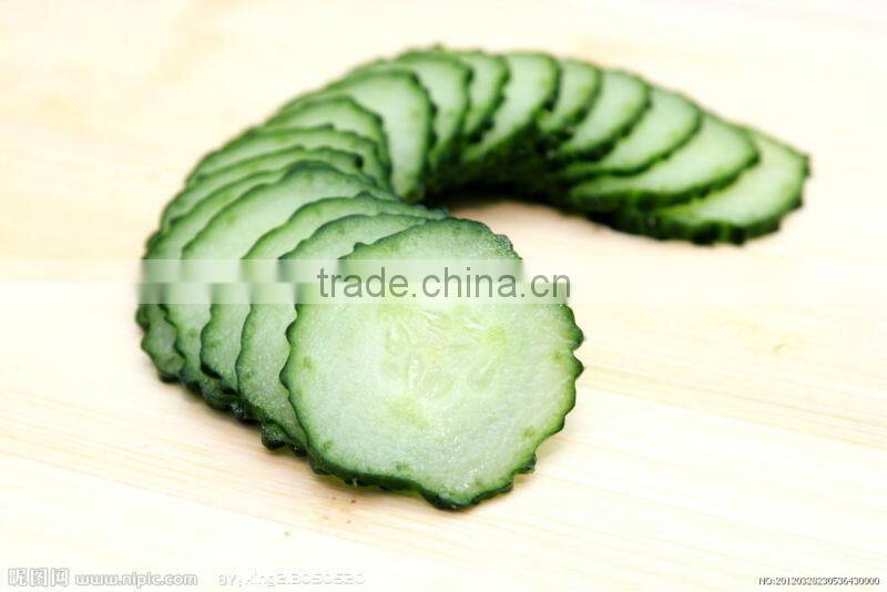 2015 PLASTIC MULTI WONDER/VEGETABLE GRATER