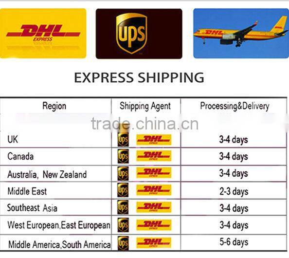 christmas King Claus figure custom design