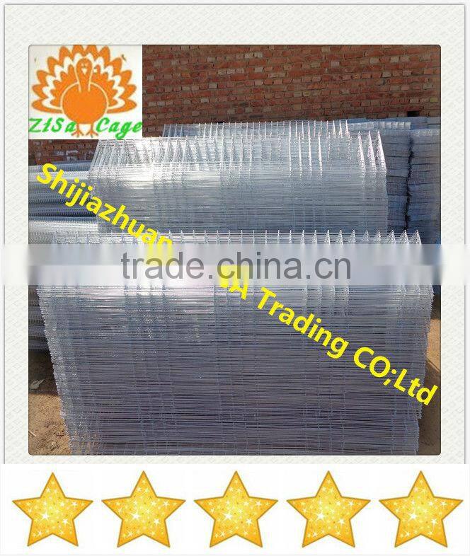 china zisa factory mainly produce Poultry chicken layer cage farm equipments cheap price